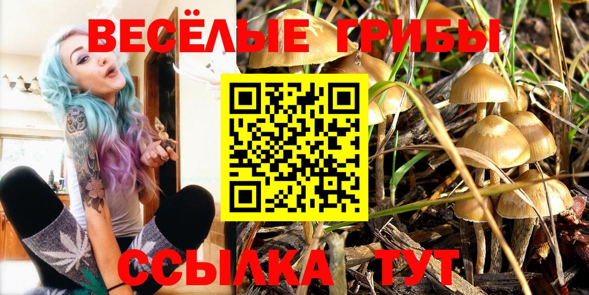 Псилоцибиновые грибы MAGIC MUSHROOMS Железногорск
